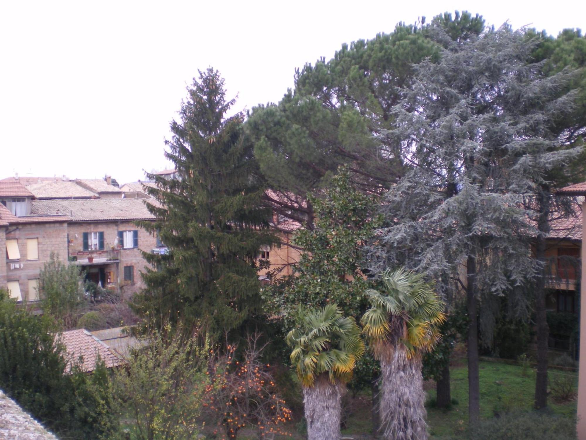 Hotel Valentino Centro Storico Orvieto Eksteriør bilde